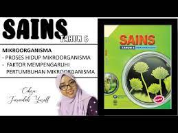 Cahaya menjadi faktor penting dalam pertumbuhan tanaman tak terkecuali pada sistem hidroponik. Proses Hidup Mikroorganisma Lessons Blendspace