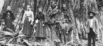 It is located 60 miles (100 km) southwest of seattle, the state's most populous city, and is a cultural center of the southern puget sound region. History Of Olympia Washington