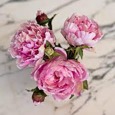 Faux flowers bring colour into your home all year round. These Gorgeous Faux Pink Open Peonies Are The Most Realistic And Lifelike Silk Flowers Making Them Perf Artificial Flowers Artificial Silk Flowers Faux Flowers
