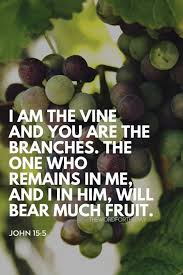 The Word For The Day Quotes Bible Verse New Year Promise New Year Grape Vine Fruits Bible Quotes Christian Quotes Bible Quotes Words True Vine