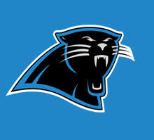 Carolina Panthers Betting And Team Guide With Odds And