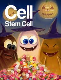 Once the timing of each shot is locked down, a lead animator will draw rough sketches of each key pose and note the timing on a dope sheet. Issue Cell Stem Cell