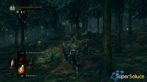 La forêt de sapins se trouvait au bord d'un lac. Foret Royale Soluce Dark Souls Remastered Supersoluce