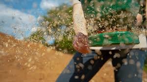 Overseeding keeps your lawn competitive and steeped in youth and vigor, without starting over. What Is The Best Grass Seed For Your Lawn Premier Lawns