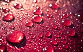 Free dripping water stock video footage licensed under creative commons, open source, and more! 47 Hd Water Drops Wallpaper On Wallpapersafari