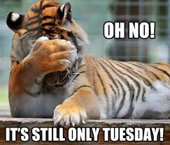 Still feels a bit too much like monday! 101 Funny Tuesday Memes When You Re Happy You Survived A Workday