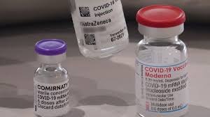Es una versión del coronavirus que se ha encontrado en más de 80 países desde que fue detectada por primera vez en india. Coronavirus So Gut Schutzen Impfungen Gegen Die Delta Variante Br24