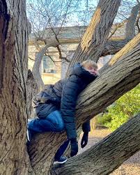 This is my happy place. If I die and get reincarnated, I'd like to come  back as a squirrel at a university.” 🐿️🌲