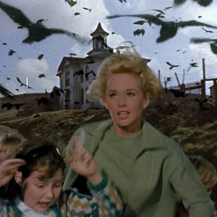 A Masterclass in Horror: Alfred Hitchcock's "The Birds" on Notebook | MUBI