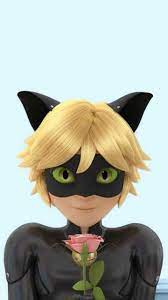 Get 20% off wallpaper rolls now through july 23rd! Cat Noir Wallpaper Enjpg