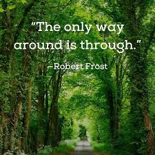 Reposting Tabarronauthor The Only Way Around Is Through Robert Frost Quote Instaquote Qotd Wisdom Instago Nature Quotes Memes Quotes Nature Activities