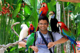 Bird park may refer to: Bali Bird Park