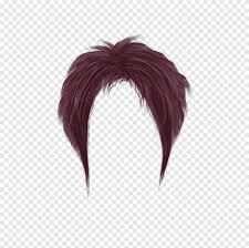 Purple Wig Illustration Short Purple Women Hair People Hair Png Pngegg Use these free long hair png #28670 for your personal projects or designs. purple wig illustration short purple
