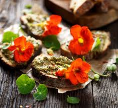 Maybe you would like to learn more about one of these? Harvesting Nasturtium Plants As Food Tips On Picking Edible Nasturtium Flowers