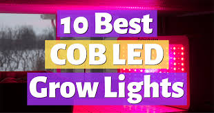 Aglex cob 3000 watt led grow light: 10 Best Cob Led Grow Lights Best Value Huge Efficiency
