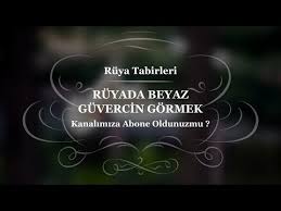 Ruyada Guvercin Gormek Ruya Tabiri Youtube