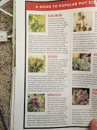 Pin On Weed Is Not A Sin