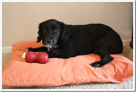 Maybe you would like to learn more about one of these? How To Make A Dog Bed Step By Step With Photos Easy Tutorial