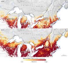 Lyme Disease Map 2021 Mapping The Spread Of Lyme Disease