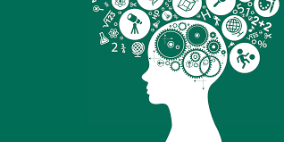 Psychology in Education (BSc) - Undergraduate, University of York