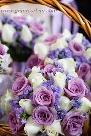 We did not find results for: 14 Periwinkle Flowers Ideas Wedding Bouquets Wedding Flowers Periwinkle Flowers