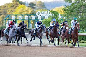 We did not find results for: Oaklawn Park Picks Saturday 6th March 2021 Horseracing Net