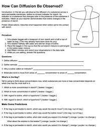 Investigation Observing Diffusion Semi Permeable Membranes Osmosis Activity Diffusion Activity Diffuser