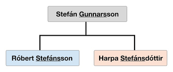 There are already 28 users and 617 genealogy profiles with the bam surname on geni. Til That Icelanders Have No Family Names Instead Their Surname Is Just Their Father S Name Plus Son Or Dottir Todayilearned
