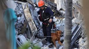 El derrumbe del edificio de doce plantas entre las calles 88 y collins avenue en surfside provocó un desde miami confirman que en ese edificio vivían argentinos, quienes son buscados entre los. Burbn5aevlyzhm