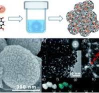 Fabricating nano-IrO2@amorphous Ir-MOF composites for ...
