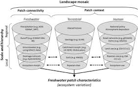 Senior grassroots coordinator at health gap (global access project). Assessing The Utility Of Geospatial Technologies To Investigate Environmental Change Within Lake Systems Sciencedirect