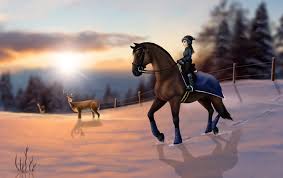 Ride and take care of your own horses and explore the exciting island of jorvik. Tyra Starlake Sso Edits Posts Facebook