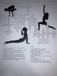 Bones protect the various organs of the body, produce red and white blood cells, store minerals. Bone Anatomy Crossword Humerus Bone Quiz For Anatomy And Physiology