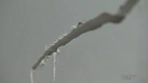 Port macquarie campus to reopen thursday 25 march. Frozen Drain Leaves Townhouses With Water Woes Ctv News