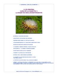 La diabetes es una enfermedad crónica que aparece porque el páncreas no fabrica la cantidad de insulina que el cuerpo humano necesita, o bien la fabrica de una calidad inferior. Pdf Ardila A Ivan Silimarina Cura Parcial Diabetes Insulino Deficiente Resistente Principales Ivan Ardila Academia Edu