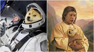 Shiba inu—touted by its developers as a dogecoin killer and obviously designed to resemble its ancestor as much as possible—quickly rose to prominence over the past few days on the heels of doge's ongoing price rally. Elon Musk Is Planning On Buying A Shiba Inu Doge And Fans Can T Get Enough Of It
