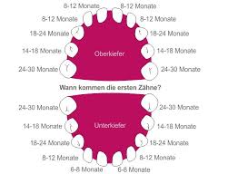 Baby Zahnen Ab Wann Zahnen Symptome Anzeichen Hilfe
