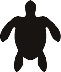 Printable Turtle Stencil Turtle Outline Turtle Quilt Beach Stencils