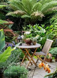 Garden Of The Year With Gardeners World Paul Debois Small Tropical Gardens Tropical Garden Small Courtyard Gardens
