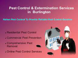 We have engaged speedpro burloak to help us in the areas of: Halton Pest Control Services Provide Highly Effective And Reliable Solutions To Prevent Any Type Of Pest Infestation We Offer A Comprehensive Range Of Ppt Download