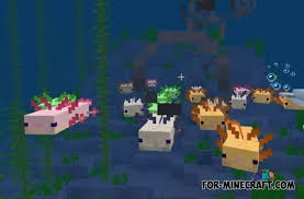 These colors include pink, brown, gold, and cyan. Axolotl Addon V1 2 For Minecraft Pe 1 16