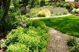 Tim Austen Garden Design Family Garden Greystones 7 Family Garden Garden Greystones