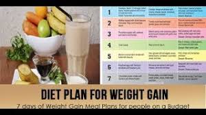 indian diet chart for weight gain pdf clip ready