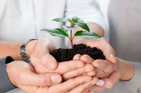 We did not find results for: Jenis Yang Paling Menguntungkan Perniagaan Untuk Pemula