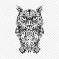 Kumpulan beragam sketsa burung hantu mudah, berwarna, di pohon, burung hantu 3d, terbang, dan sketsa burung hantu untuk kolase. 20 Inspirasi Hitam Putih Gambar Burung Hantu Sketsa Tea And Lead