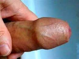 Penis Steif Wichsen Handy Pornos - NurXXX.mobi