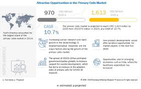 Check spelling or type a new query. Primary Cells Market Global Forecast To 2025 Marketsandmarkets