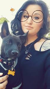 Anxious rescue chihuahua behavior and training