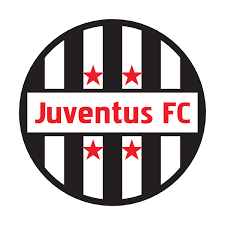 Italy national football team pro evolution soccer, football, emblem, label, trademark png. Juventus Fc Logo Download Logo Icon Png Svg
