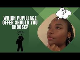 How to choose among pupillage offers?